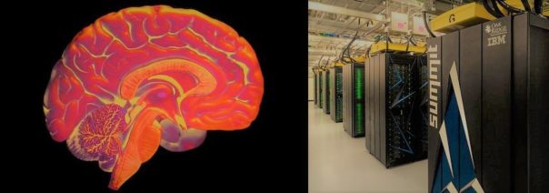 Human Brain vs World’s Most Powerful Computer Specs