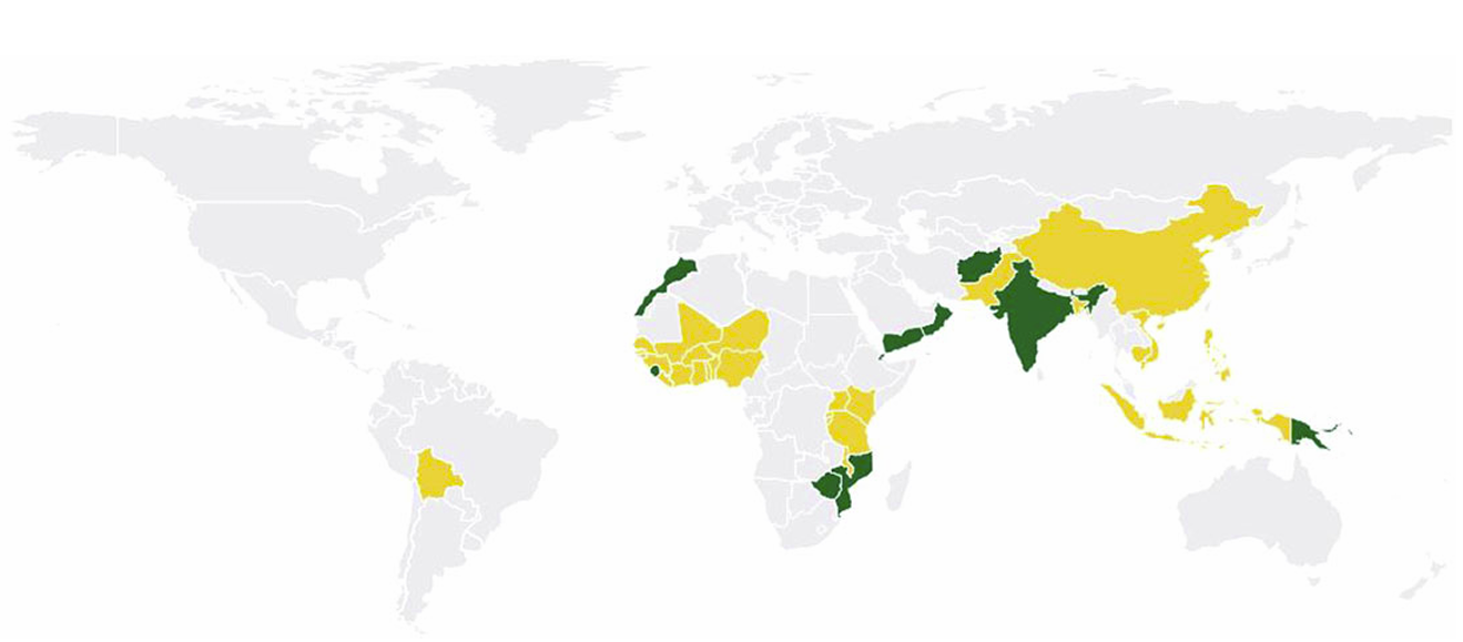 Vitamin A and Life Expectancy in Africa